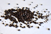 Carafa III (German)